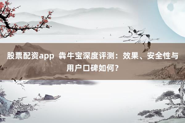 股票配资app  犇牛宝深度评测：效果、安全性与用户口碑如何？