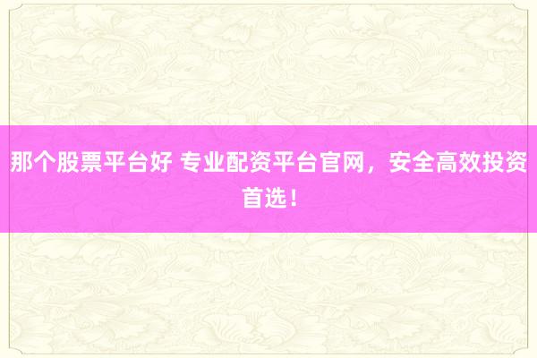 那个股票平台好 专业配资平台官网，安全高效投资首选！