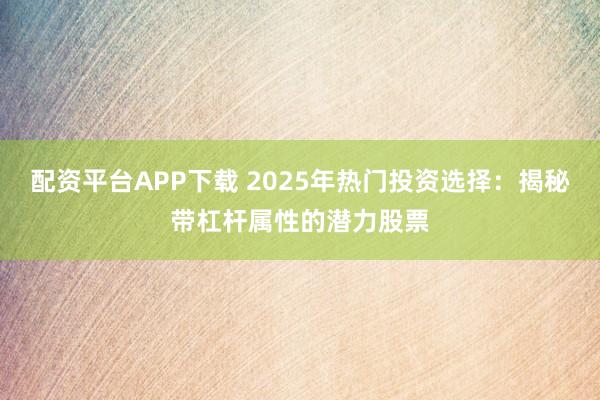 配资平台APP下载 2025年热门投资选择：揭秘带杠杆属性的潜力股票