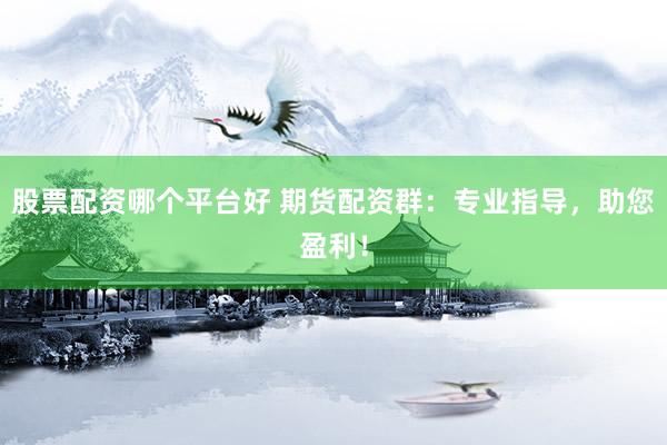 股票配资哪个平台好 期货配资群：专业指导，助您盈利！