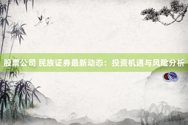 股票公司 民族证券最新动态：投资机遇与风险分析