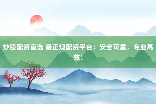 炒股配资首选 最正规配资平台：安全可靠，专业高效！