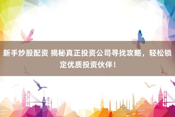 新手炒股配资 揭秘真正投资公司寻找攻略，轻松锁定优质投资伙伴！