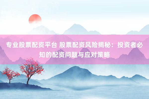 专业股票配资平台 股票配资风险揭秘：投资者必知的配资问题与应对策略