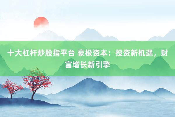 十大杠杆炒股指平台 豪极资本：投资新机遇，财富增长新引擎