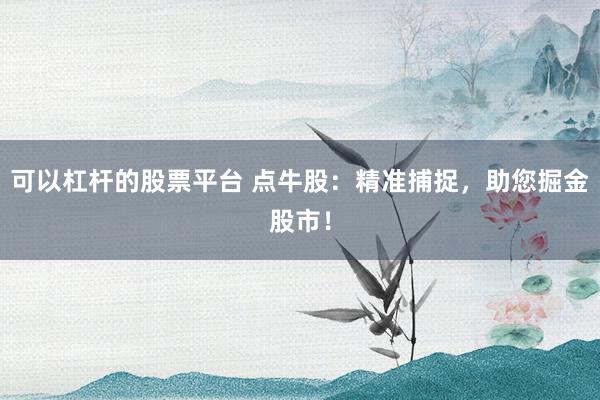 可以杠杆的股票平台 点牛股：精准捕捉，助您掘金股市！
