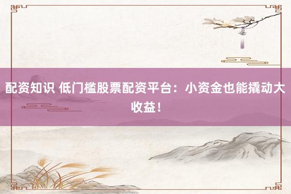 配资知识 低门槛股票配资平台:小资金也能撬动大收益!