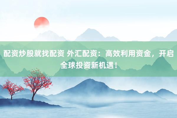 配资炒股就找配资 外汇配资:高效利用资金,开启全球投资新机遇!