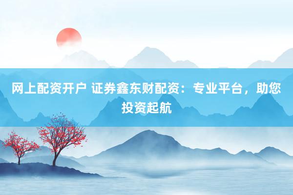 网上配资开户 证券鑫东财配资:专业平台,助您投资起航