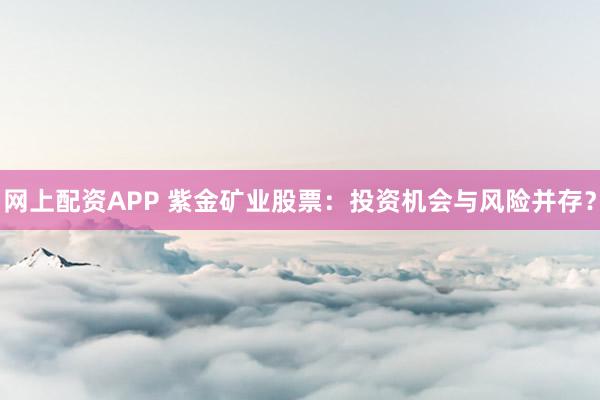 网上配资APP 紫金矿业股票：投资机会与风险并存？