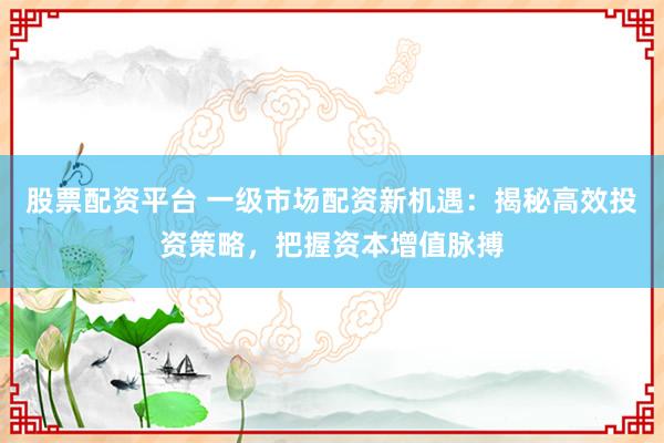 股票配资平台 一级市场配资新机遇：揭秘高效投资策略，把握资本增值脉搏