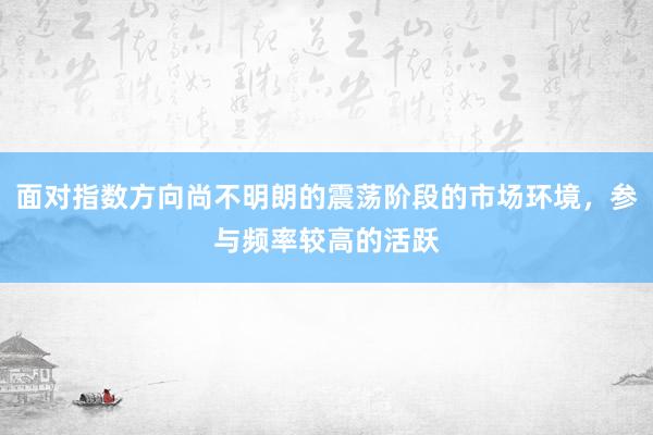 面对指数方向尚不明朗的震荡阶段的市场环境，参与频率较高的活跃
