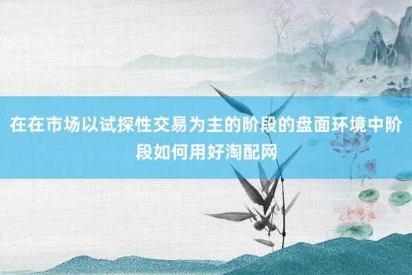 在在市场以试探性交易为主的阶段的盘面环境中阶段如何用好淘配网